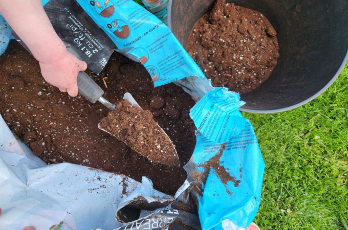 How to Stretch One Bag of Soil Through the Season