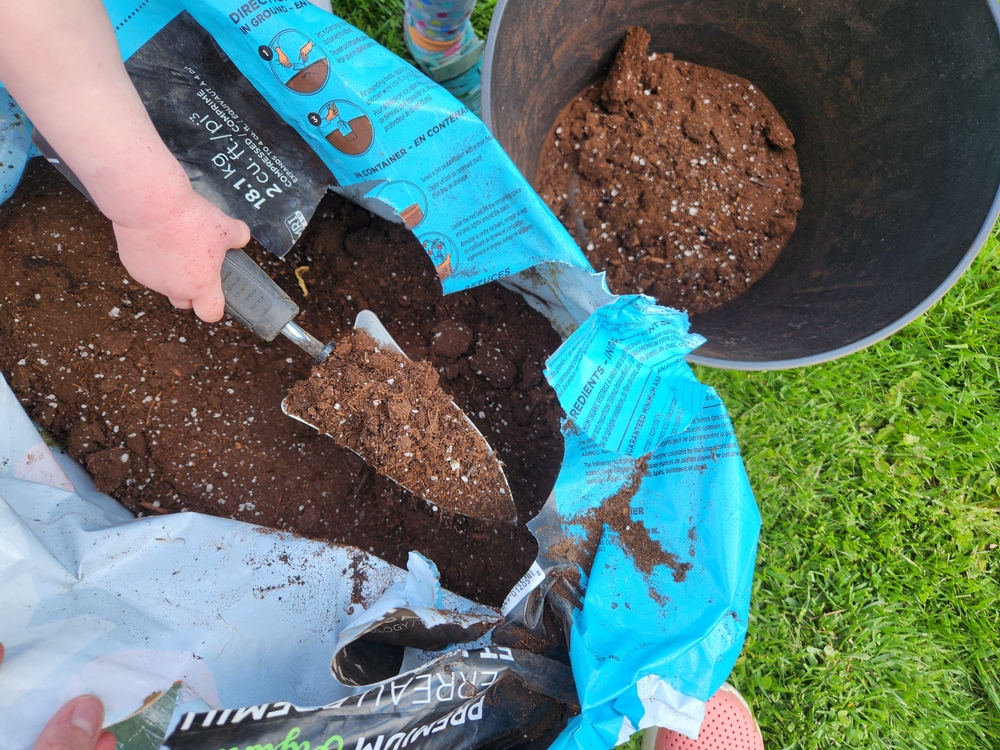 How to Stretch One Bag of Soil Through the Season