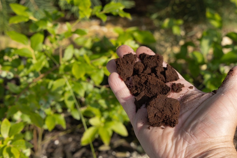 The Hidden Cost of War: How Fertilizer Disruptions Push Grocery Bills Highe