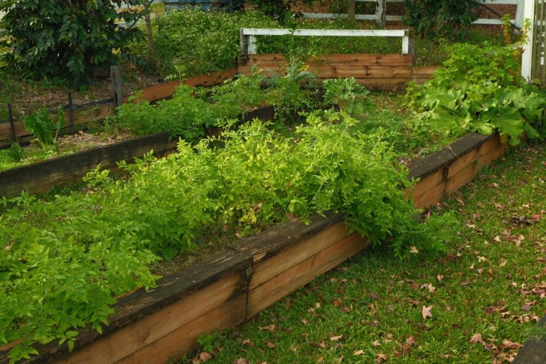 How to Reclaim Overgrown Beds