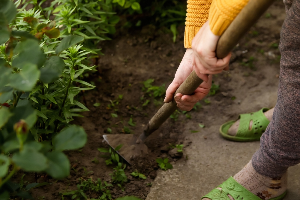 The Best Low-Cost Garden Tools That Actually Last for Years
