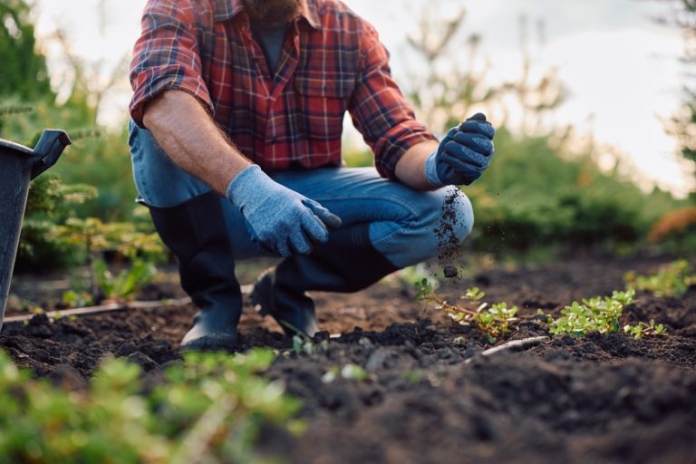 How to Fix Compacted Soil Without Renting Equipment