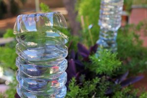 DIY Irrigation Systems for Small Gardens That Cost Under $20