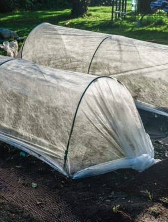 Cheap Alternatives to Traditional Row Covers