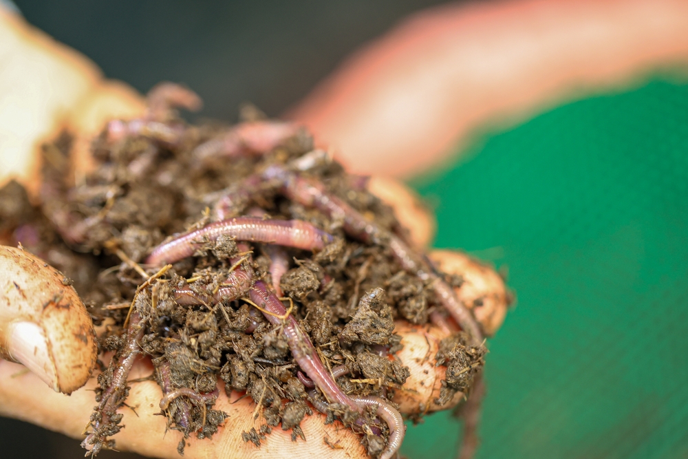 4 Composting Tricks That Work Better Than Store-Bought Bags