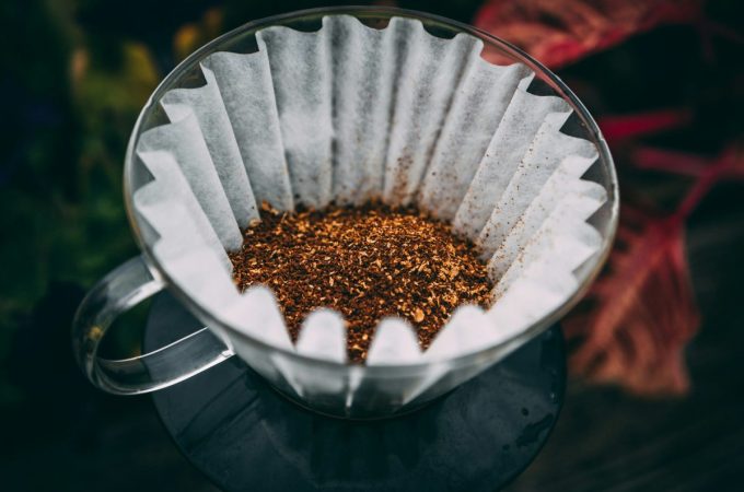 The Safe Way to Use Coffee Grounds Without Damaging Plants