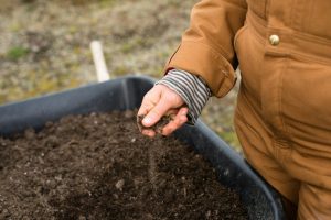 Low-Cost Ways to Improve Sandy Soil