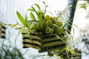 6 Small-Space Edible Garden Ideas That Produce Big Harvests