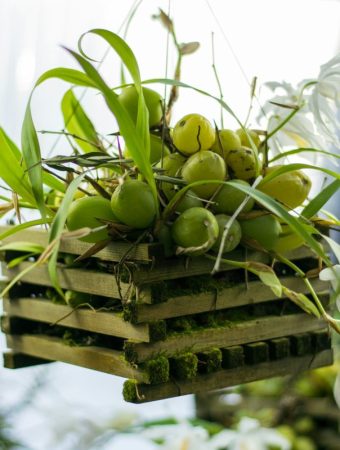 6 Small-Space Edible Garden Ideas That Produce Big Harvests