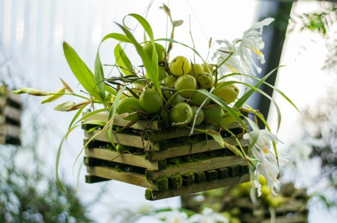 6 Small-Space Edible Garden Ideas That Produce Big Harvests