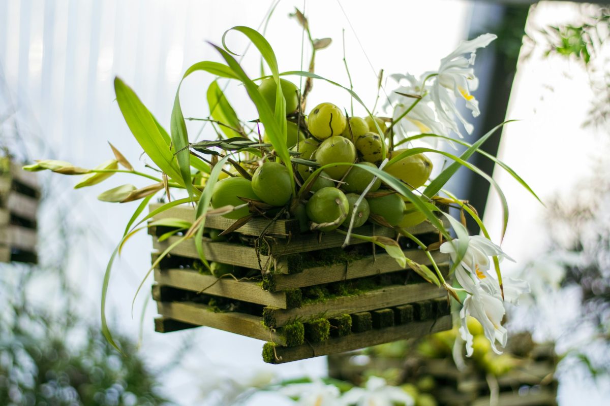 6 Small-Space Edible Garden Ideas That Produce Big Harvests