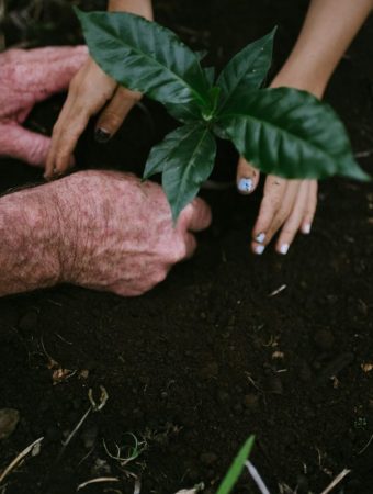 Why Planting Too Early Can Set Back Your Entire Garden