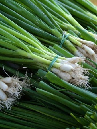 Stop Throwing Money Away: 7 Kitchen Scraps That Regrow Into Full Meals