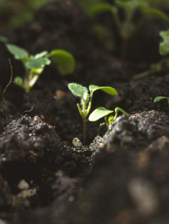 How to Make a Simple Soil Moisture Meter at Home