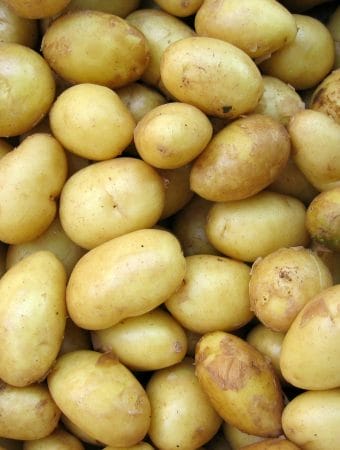 The 100-Pound Potato Secret: How One $5 Bag of Spuds Feeds a Family