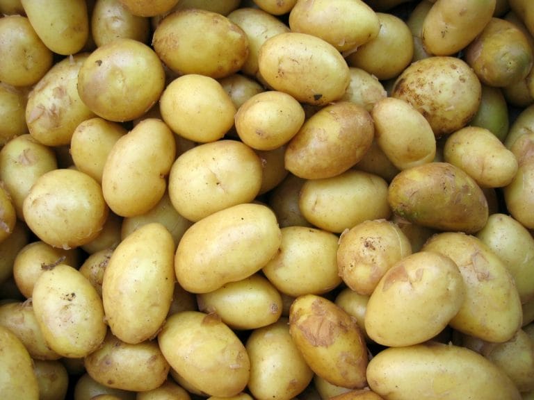 The 100-Pound Potato Secret: How One $5 Bag of Spuds Feeds a Family