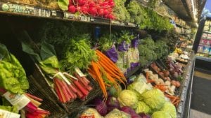 The $10 Grocery Bill: 5 High-Yield Veggies That Pay for Themselves in Weeks