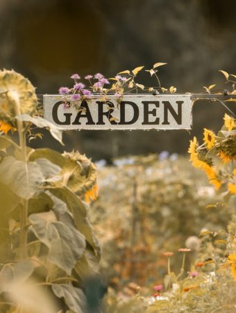 6 DIY Plant Label Ideas That Don’t Fade