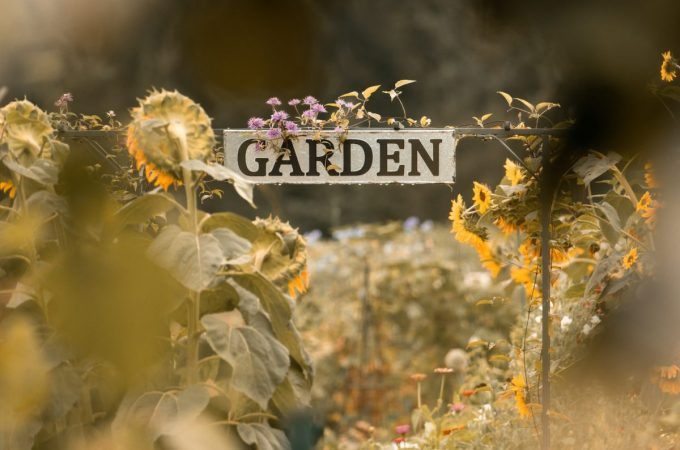 6 DIY Plant Label Ideas That Don’t Fade