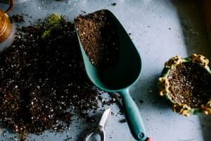 How to Make Compost Tea to Improve Soil Health