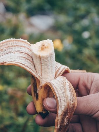 Stop Buying Fertilizer: 6 Free Kitchen Scraps That Supercharge Your Soil