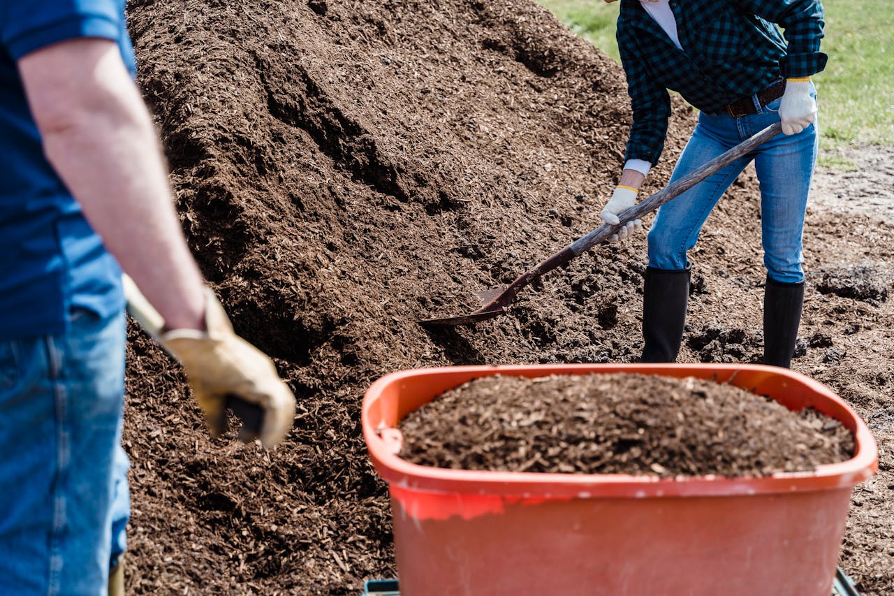How to Make Compost Tea to Improve Soil Health