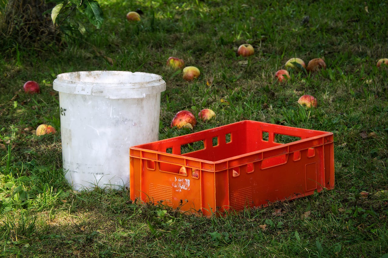 The 3-Bucket Garden: How to Grow Weeks of Food for Under $10