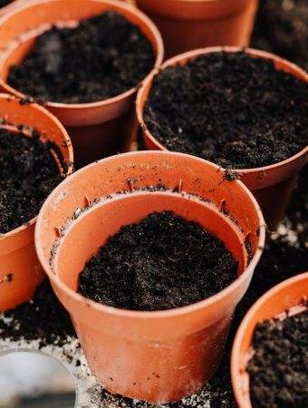 How to Test Soil Drainage Before Planting
