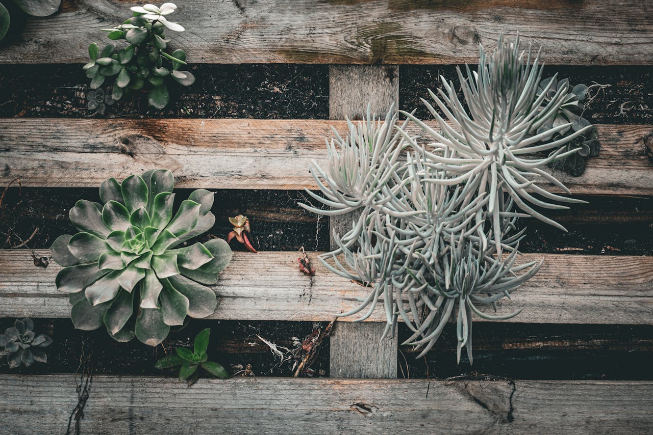 7 Cheap Garden Fence Alternatives That Actually Work