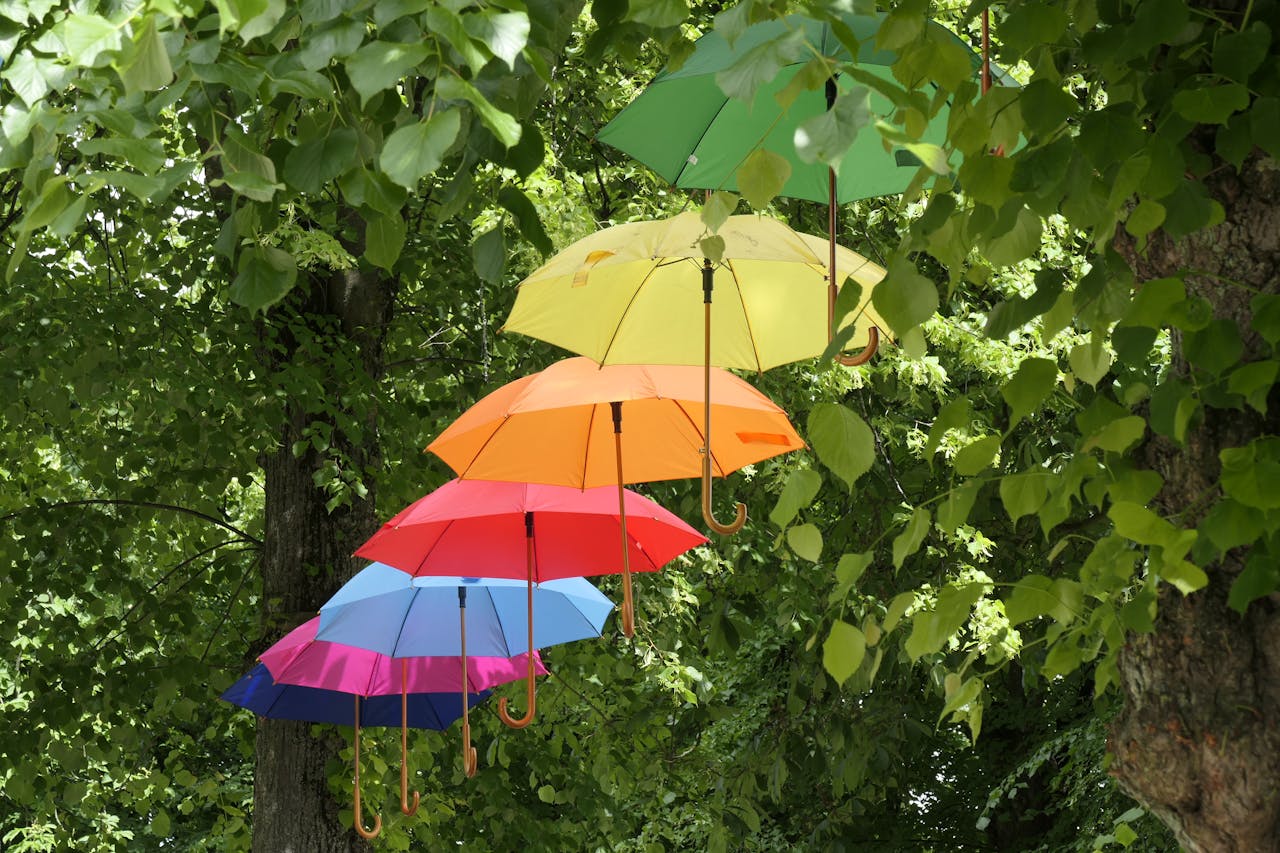 Inexpensive Ways to Shade Plants During Hot Weather