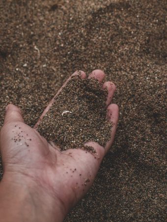 The Quick Fix for Sandy Soil That Won’t Wash Away