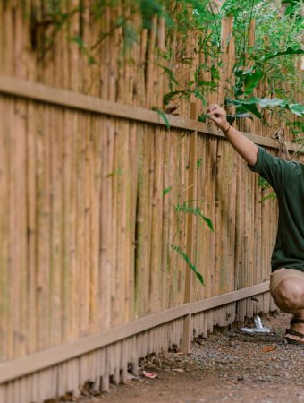 7 Cheap Garden Fence Alternatives That Actually Work
