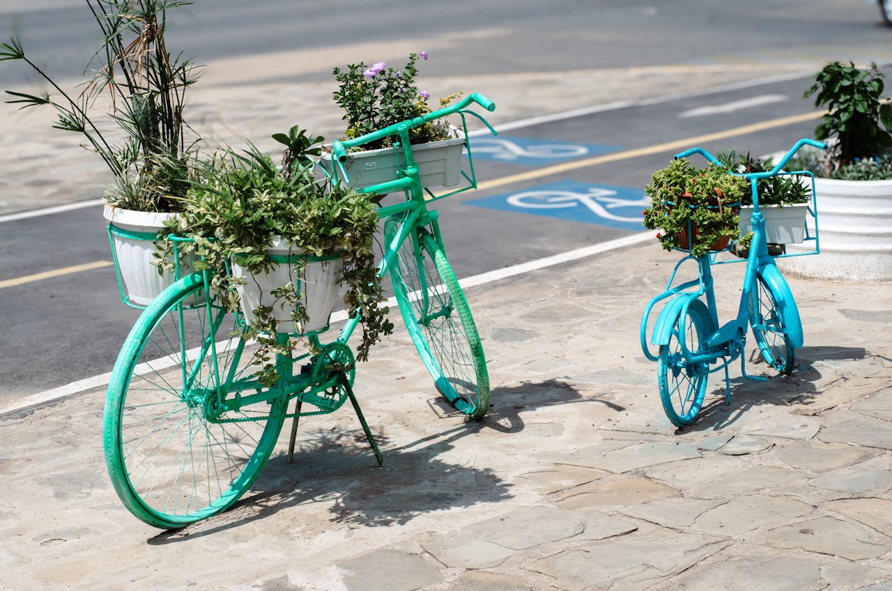 The 'Guerilla' Gardening Move: Beautifying Your Street for Free