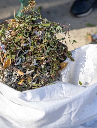 The Free Compost Trick: How to Turn Yard Waste Into $100 Worth of Soil