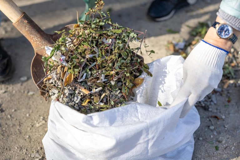 The Free Compost Trick: How to Turn Yard Waste Into $100 Worth of Soil