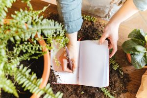 Why Every Budget Gardener Should Keep a 'Garden Journal' to Save Hundreds Next Year