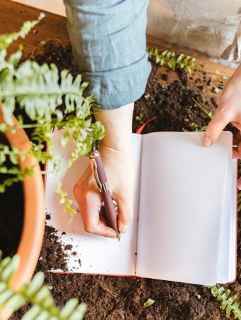 Why Every Budget Gardener Should Keep a 'Garden Journal' to Save Hundreds Next Year