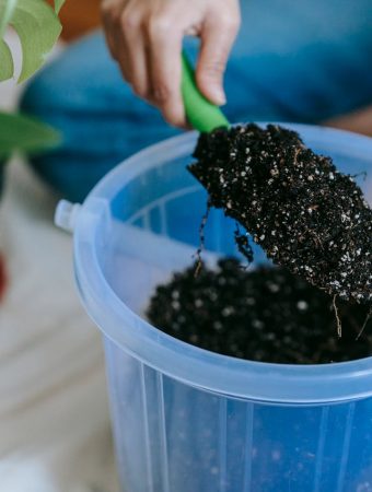 The 3-Bucket Garden: How to Grow Weeks of Food for Under $10
