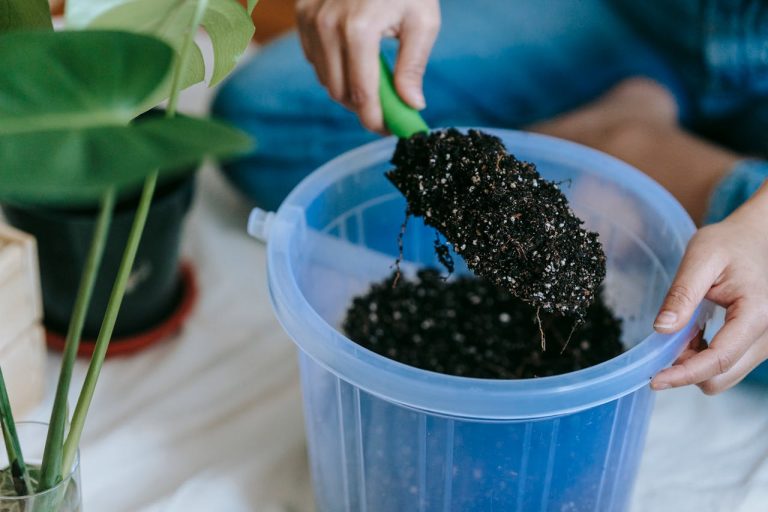 The 3-Bucket Garden: How to Grow Weeks of Food for Under $10
