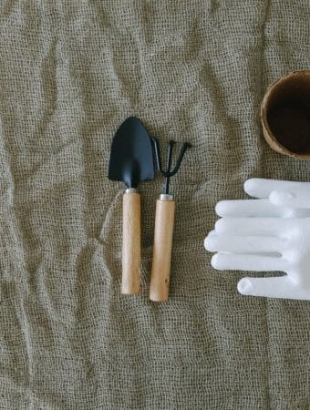 The $1.25 Garden: 5 Dollar Tree Items That Outperform Premium Brands