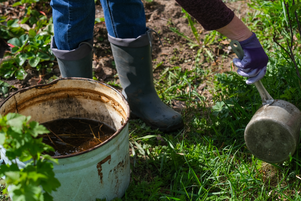 Forget Fancy Fertilizers: The 'Compost Tea' Recipe That Costs Zero Dollars