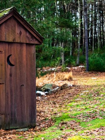 The Urine Secret: The “Gold” Fertilizer No One Wants to Talk About