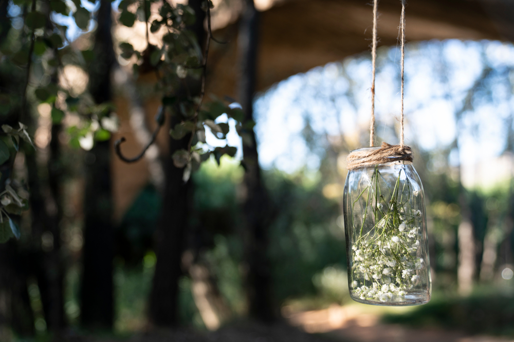 Hydroponics for the Rest of Us: The $5 Mason Jar Method