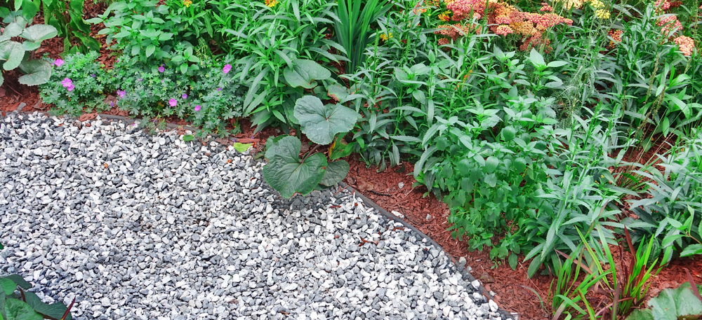 The Edible Front Yard: Why Your Lawnmower is Costing You Money