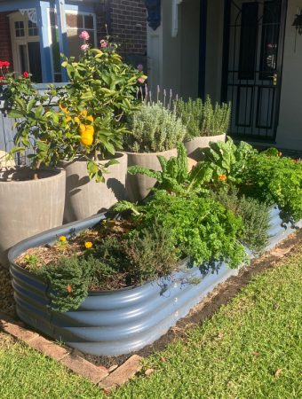 The Edible Front Yard: Why Your Lawnmower is Costing You Money