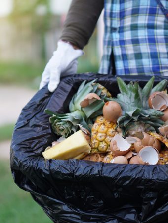 8 Easy Ways to Add Organic Matter Without Buying Compost