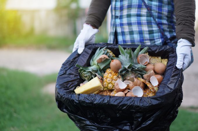 8 Easy Ways to Add Organic Matter Without Buying Compost