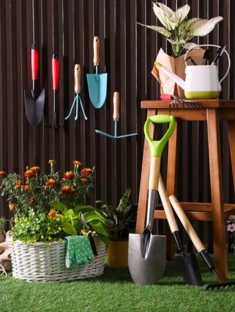The Tool-Share Strategy: How to Get Luxury Garden Tools for Free