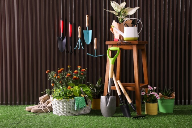The Tool-Share Strategy: How to Get Luxury Garden Tools for Free