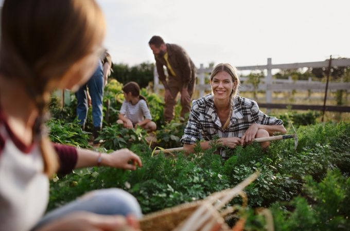 The Community Garden Loophole: How to Get a Plot for Less Than a Pizza